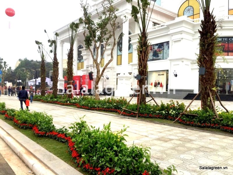 thi công cảnh quan dự án Vincom Plaza Việt Trì