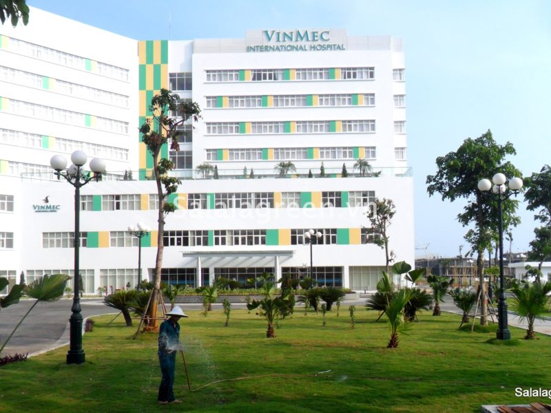 Chăm sóc cây xanh bệnh viện Vinmec Hạ Long