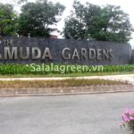 Thi công cây xanh dự án Gamuda Garden City
